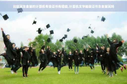 比较高含金量的计算机专业证书有哪些,计算机文字编辑证书含金量高吗