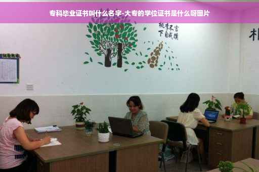 专科毕业证书叫什么名字-大专的学位证书是什么呀图片