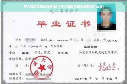 宁大舞蹈系毕业证书图片(宁大舞蹈系毕业证书图片高清)