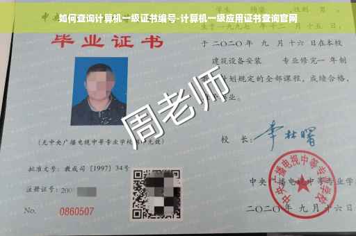 如何查询计算机一级证书编号-计算机一级应用证书查询官网