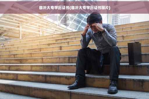 临沂大专学历证书(临沂大专学历证书图片)