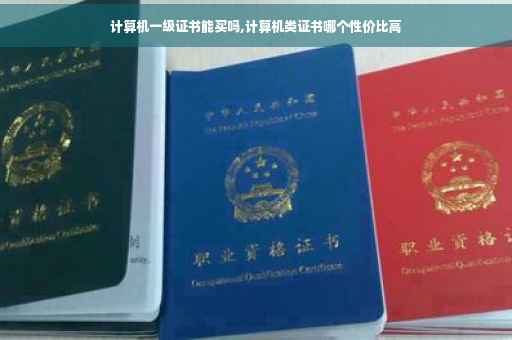 计算机一级证书能买吗,计算机类证书哪个性价比高