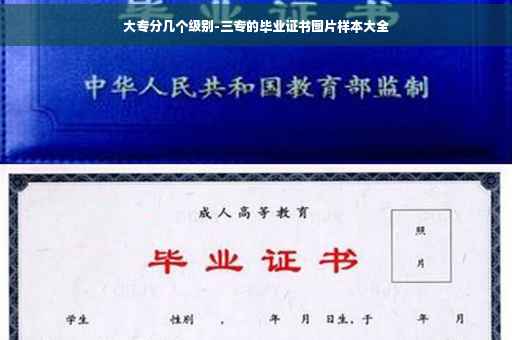 大专分几个级别-三专的毕业证书图片样本大全