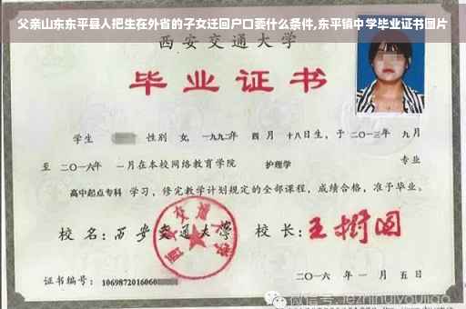 父亲山东东平县人把生在外省的子女迁回户口要什么条件,东平镇中学毕业证书图片