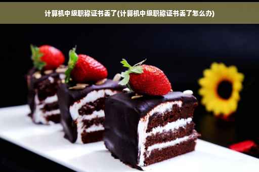 计算机中级职称证书丢了(计算机中级职称证书丢了怎么办)