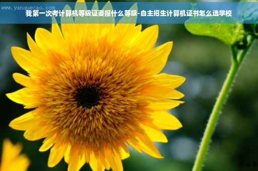 我第一次考计算机等级证要报什么等级-自主招生计算机证书怎么选学校