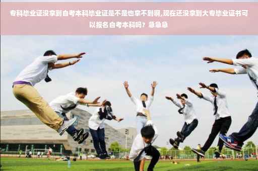 专科毕业证没拿到自考本科毕业证是不是也拿不到啊,现在还没拿到大专毕业证书可以报名自考本科吗？急急急