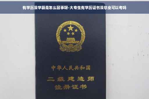 有学历没学籍是怎么回事呀-大专生有学历证书没毕业可以考吗