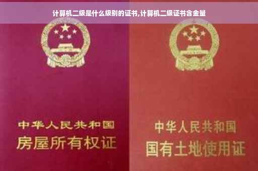 计算机二级是什么级别的证书,计算机二级证书含金量