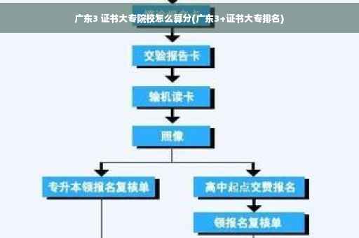广东3 证书大专院校怎么算分(广东3+证书大专排名)