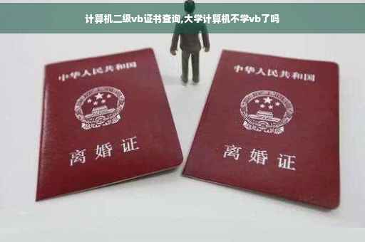 计算机二级vb证书查询,大学计算机不学vb了吗