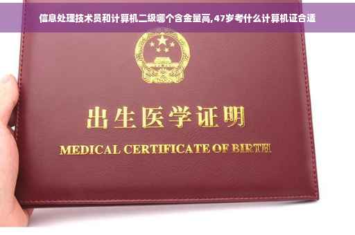 信息处理技术员和计算机二级哪个含金量高,47岁考什么计算机证合适
