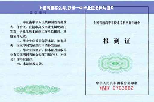 b证驾照怎么考,彭泽一中毕业证书照片图片
