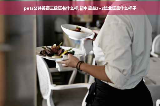 pets公共英语三级证书什么样,初中起点3+2毕业证是什么样子