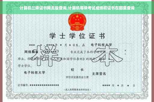 计算机三级证书网页版查询,计算机等级考试成绩和证书在那里查询