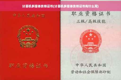 计算机多媒体资格证书(计算机多媒体资格证书有什么用)