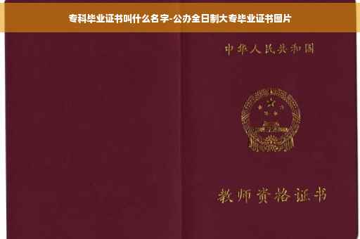 专科毕业证书叫什么名字-公办全日制大专毕业证书图片