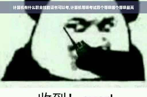 计算机有什么职业技能证书可以考,计算机等级考试四个等级哪个等级最高