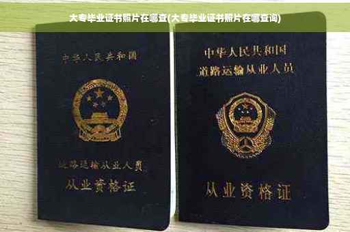 大专毕业证书照片在哪查(大专毕业证书照片在哪查询)