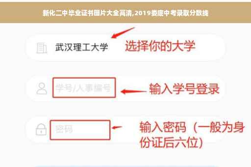 新化二中毕业证书图片大全高清,2019娄底中考录取分数线