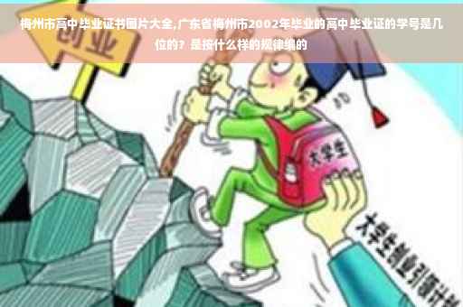 梅州市高中毕业证书图片大全,广东省梅州市2002年毕业的高中毕业证的学号是几位的？是按什么样的规律编的