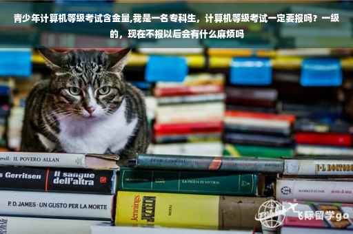 青少年计算机等级考试含金量,我是一名专科生，计算机等级考试一定要报吗？一级的，现在不报以后会有什么麻烦吗