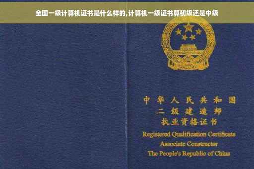 全国一级计算机证书是什么样的,计算机一级证书算初级还是中级