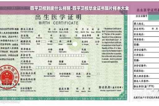 四平卫校到底什么样啊-四平卫校毕业证书图片样本大全 四平卫校到底什么样啊-四平卫校毕业证书图片样本大全