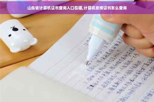 山东省计算机证书查询入口在哪,计算机资格证书怎么查询 山东省计算机证书查询入口在哪,计算机资格证书怎么查询