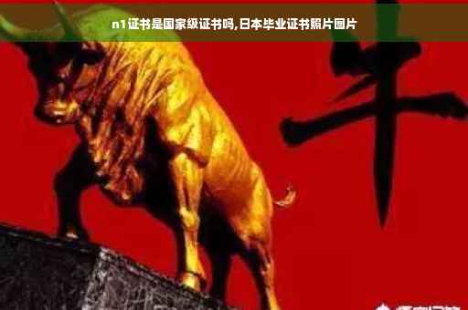 n1证书是国家级证书吗,日本毕业证书照片图片