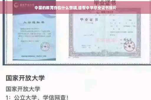 中国的教育存在什么弊端,德智中学毕业证书图片