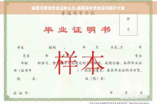 咸阳市就业创业证怎么办,咸阳高中毕业证书图片大全