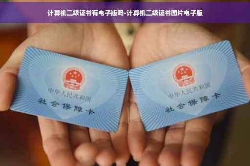计算机二级证书有电子版吗-计算机二级证书图片电子版