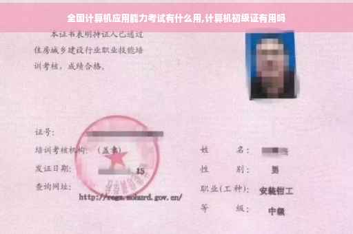 全国计算机应用能力考试有什么用,计算机初级证有用吗
