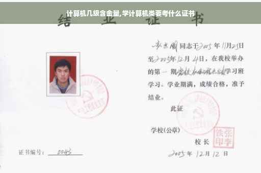 计算机几级含金量,学计算机类要考什么证书 计算机几级含金量,学计算机类要考什么证书