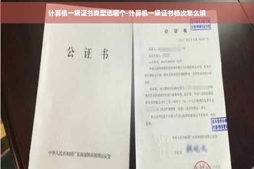 计算机一级证书类型选哪个-计算机一级证书档次怎么填