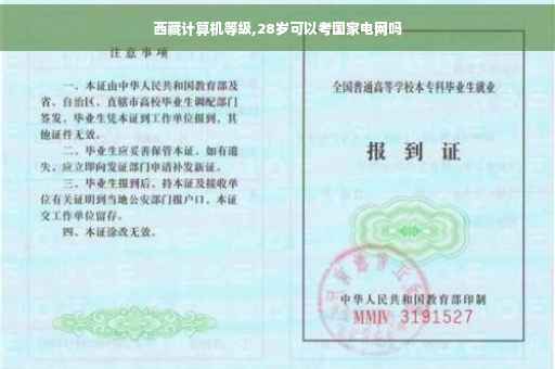西藏计算机等级,28岁可以考国家电网吗