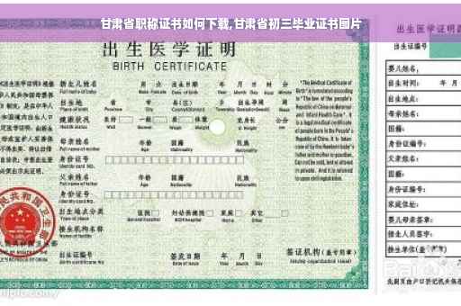 甘肃省职称证书如何下载,甘肃省初三毕业证书图片