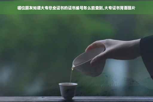 哪位朋友知道大专毕业证书的证书编号怎么能查到,大专证书背面图片