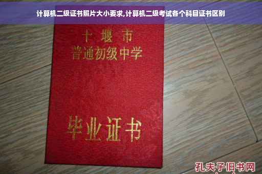 计算机二级证书照片大小要求,计算机二级考试各个科目证书区别