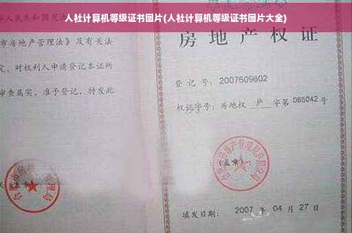人社计算机等级证书图片(人社计算机等级证书图片大全)