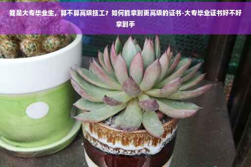 我是大专毕业生，算不算高级技工？如何能拿到更高级的证书-大专毕业证书好不好拿到手