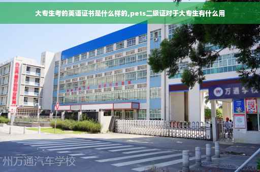 大专生考的英语证书是什么样的,pets二级证对于大专生有什么用