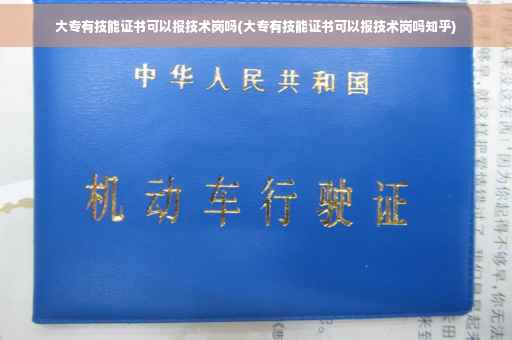 大专有技能证书可以报技术岗吗(大专有技能证书可以报技术岗吗知乎)