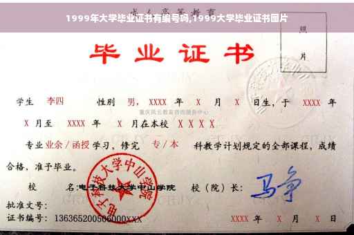 1999年大学毕业证书有编号吗,1999大学毕业证书图片