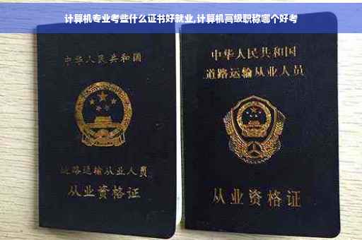 计算机专业考些什么证书好就业,计算机高级职称哪个好考