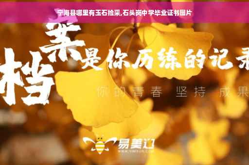 宁海县哪里有玉石捡采,石头岗中学毕业证书图片