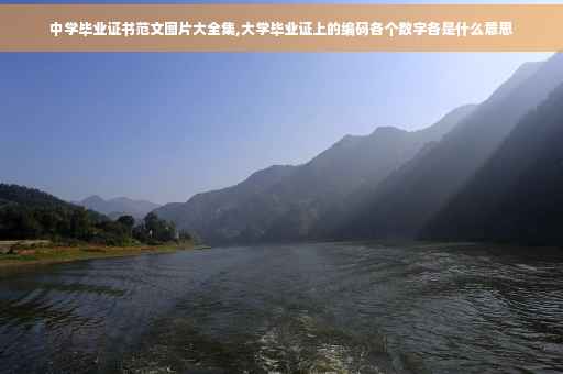 中学毕业证书范文图片大全集,大学毕业证上的编码各个数字各是什么意思