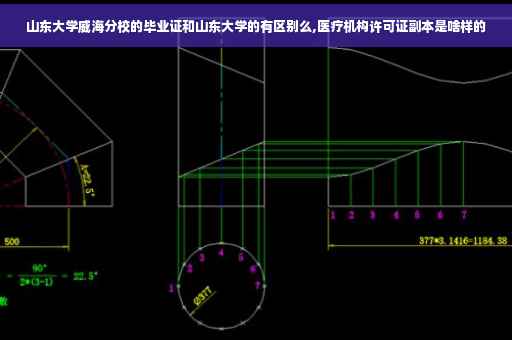 山东大学威海分校的毕业证和山东大学的有区别么,医疗机构许可证副本是啥样的