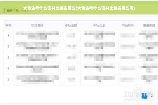 大专生考什么证书比较实用些(大专生考什么证书比较实用些呢)